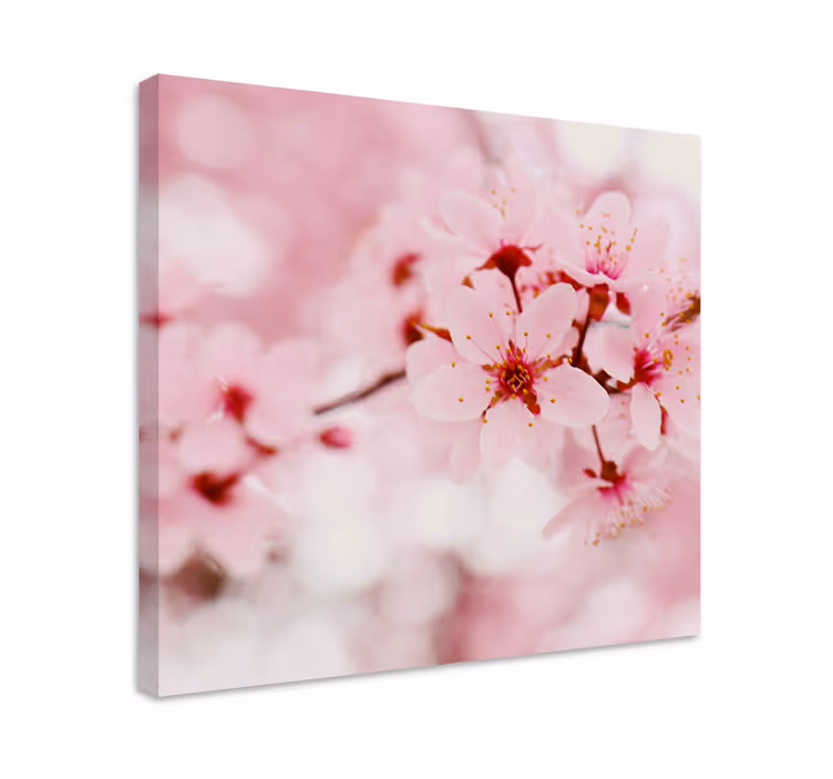 Pembe çiçek fotoğrafçılık sanat çiçek tuval - TenStickers