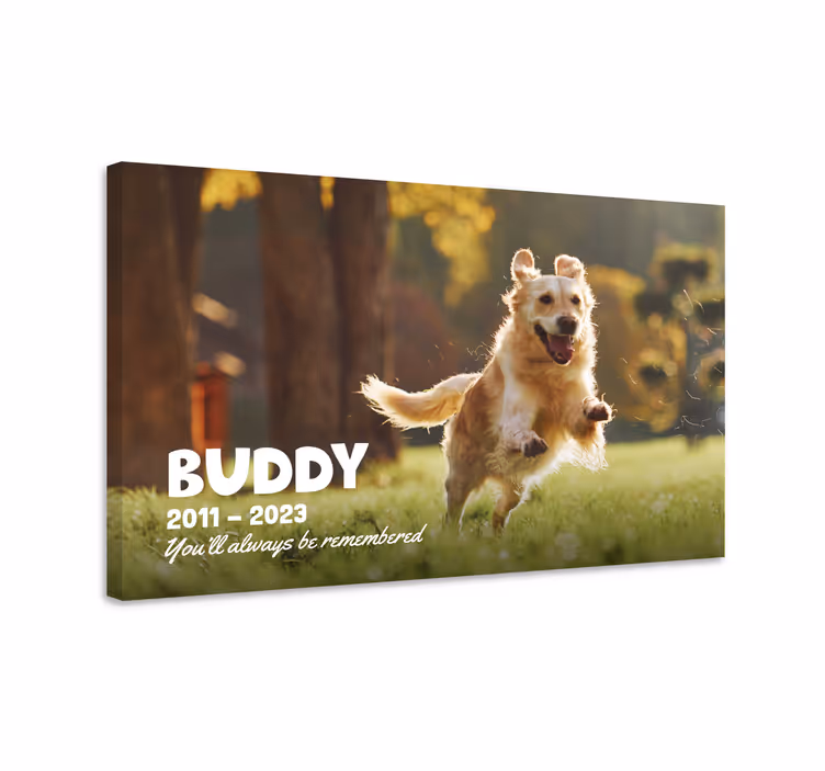 Köpeklerin en sevdiği arkadaşımız,Gülümseyen bir göz ve bir kalp, - TenStickers