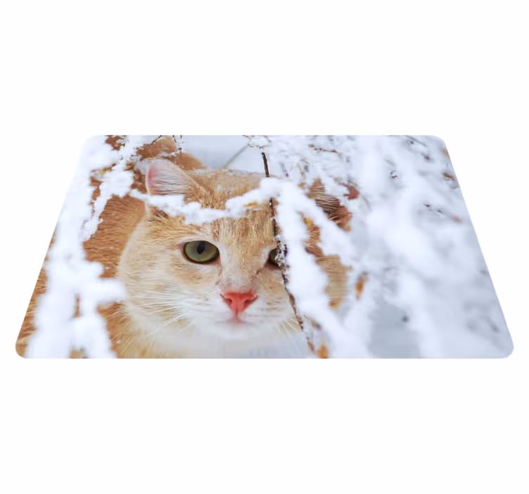 Hayvan pvc halı sarkıtlı kedi - TenStickers
