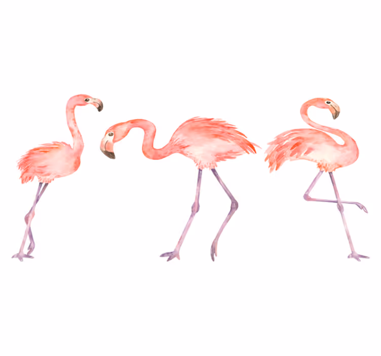 Hayvan pvc halı - Şık flamingo Üçlüsü - TenStickers