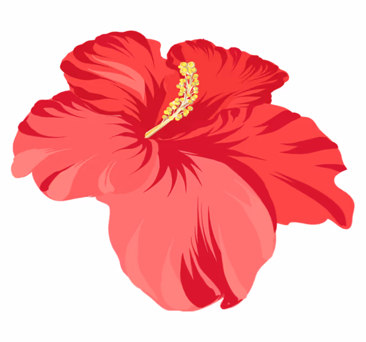 Çiçekler ve bitkiler pvc halı kırmızı hibiskus seti - TenStickers