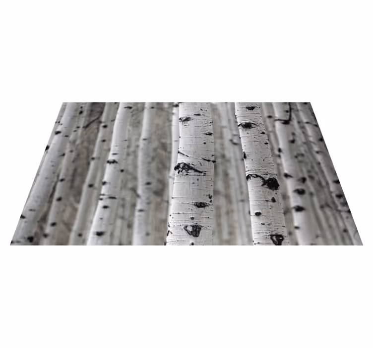 Doğa pvc halı beyaz huş ormanı manzarası - TenStickers