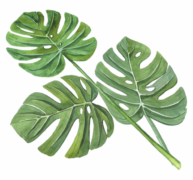 Çiçekler ve bitkiler pvc halı monstera sulu boya yaprakları - TenStickers