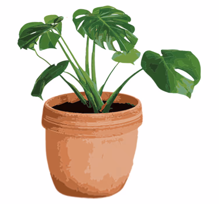 Çiçekler ve bitkiler pvc halı basit monstera saksı - TenStickers