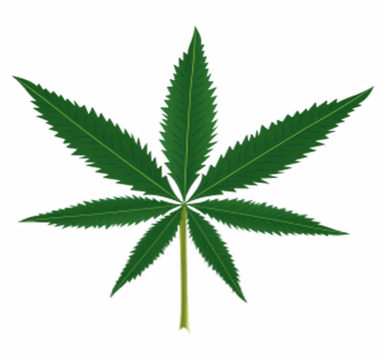 Çiçekler ve bitkiler pvc halı marihuana yaprağı - TenStickers