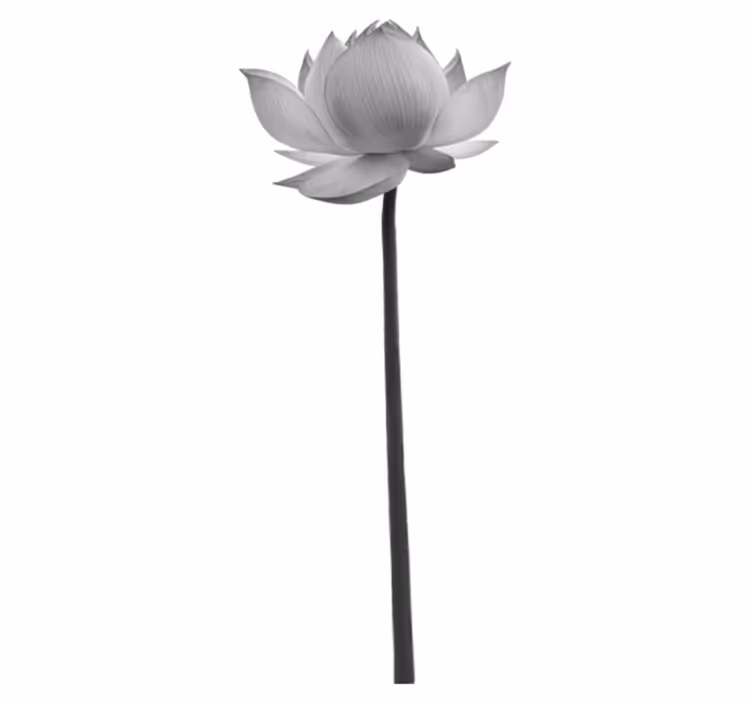Yatak odası pvc halı lotus yalnız çiçek - TenStickers