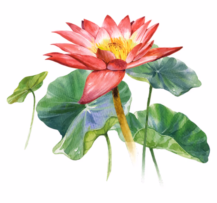 Yatak odası pvc halı lotus suluboya illüzyonu - TenStickers