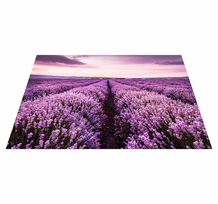 Mor pvc halı lavanta Çiçekleri fotomuralı - TenStickers
