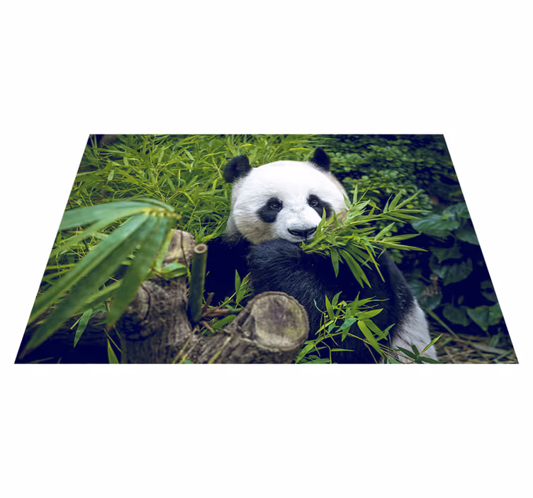 Yeşil pvc halı sevimli panda - TenStickers