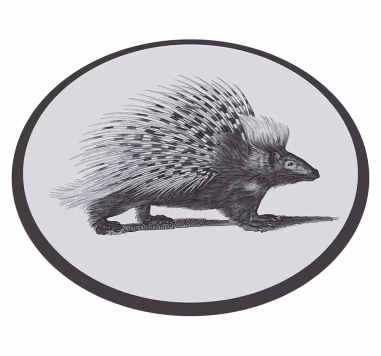 Kirpi illüstrasyon Hayvan pvc halı - TenStickers