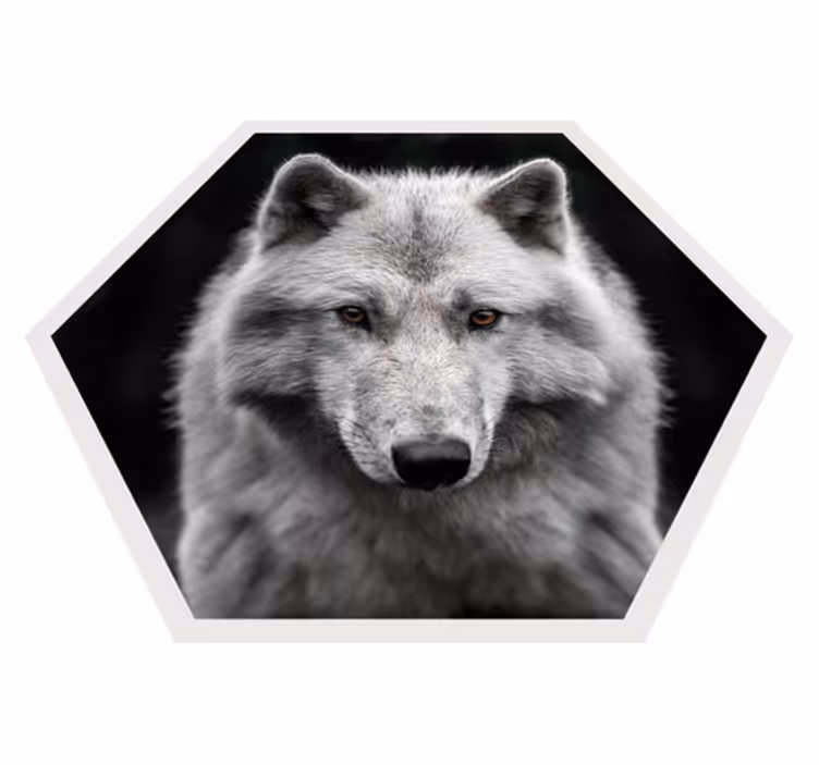 Siyah hayvan halısı üzerinde alfa kurt - TenStickers