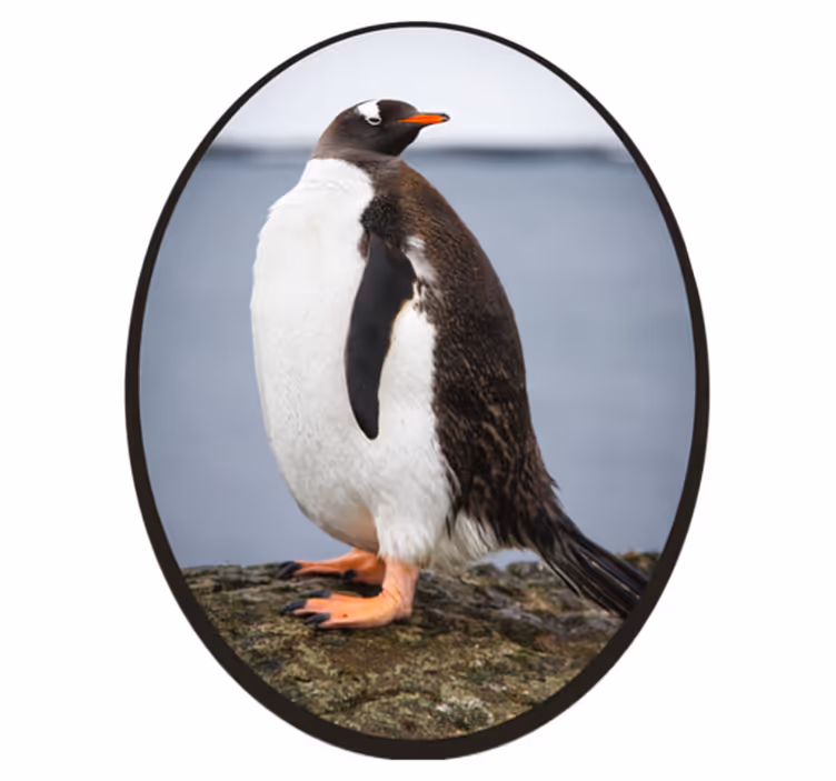 Penguen duruşu Hayvan pvc halı - TenStickers