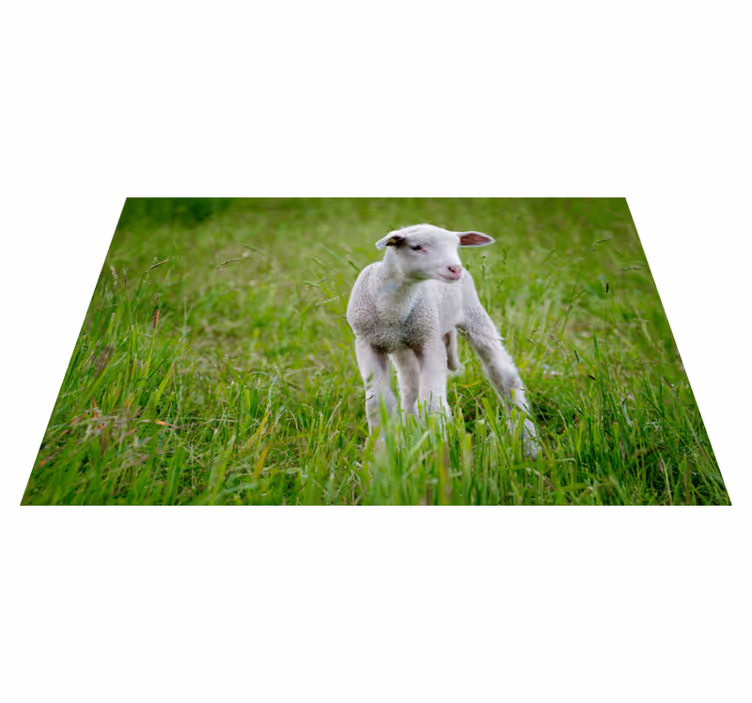 Hayvan sevimli kuzu hayvan kilim - TenStickers
