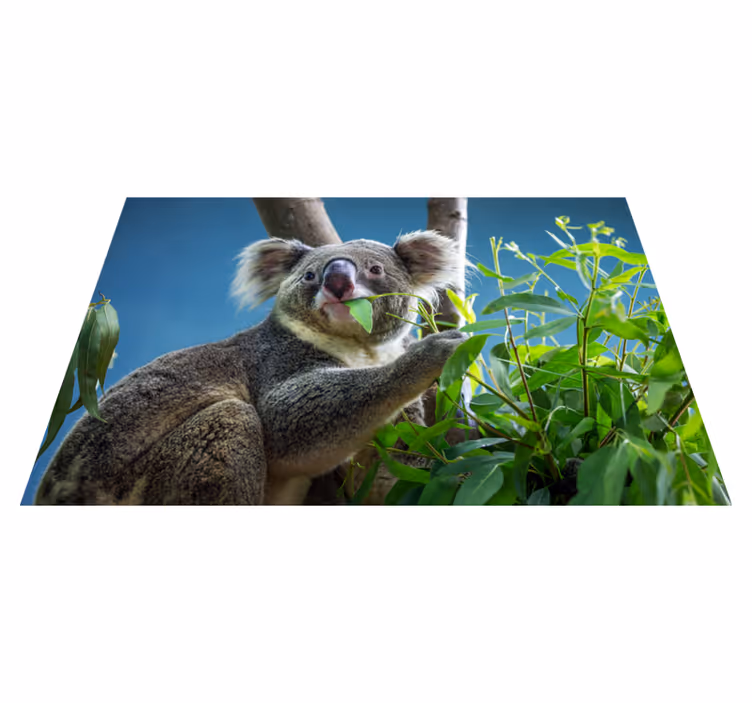 Hayvan sevimli koala ayılar hayvan kilim - TenStickers