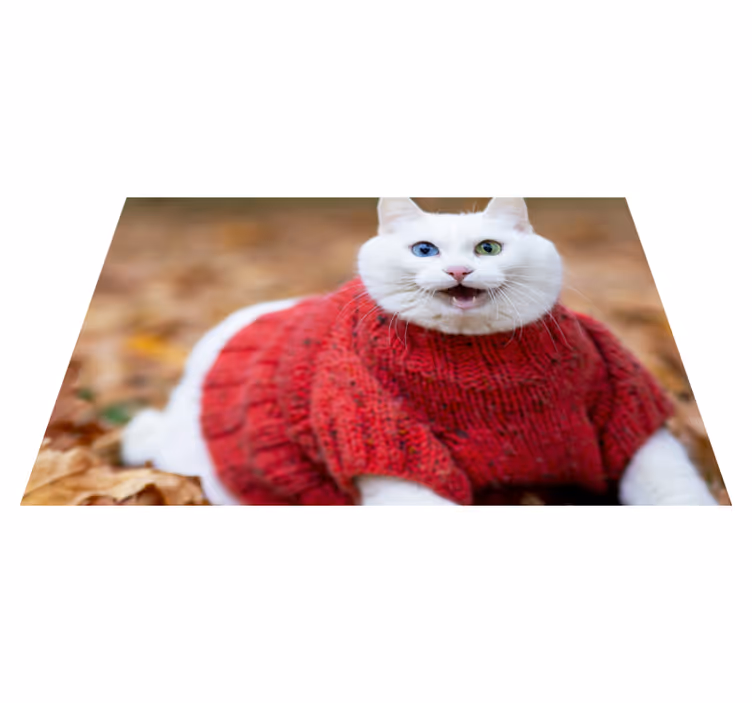 Hayvan sevimli gülümseyen kedi hayvan halı - TenStickers