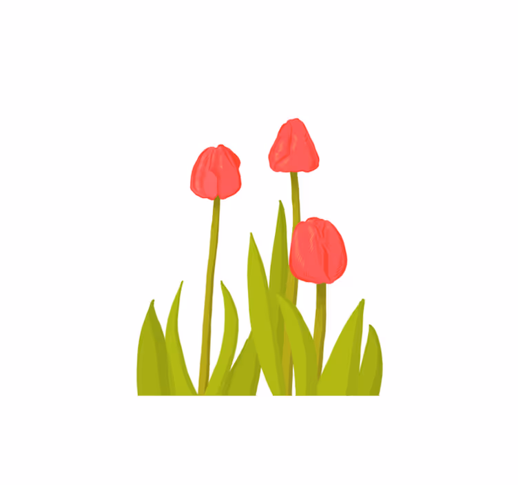 çizilmiş laleler sanat çiçek halı - TenStickers