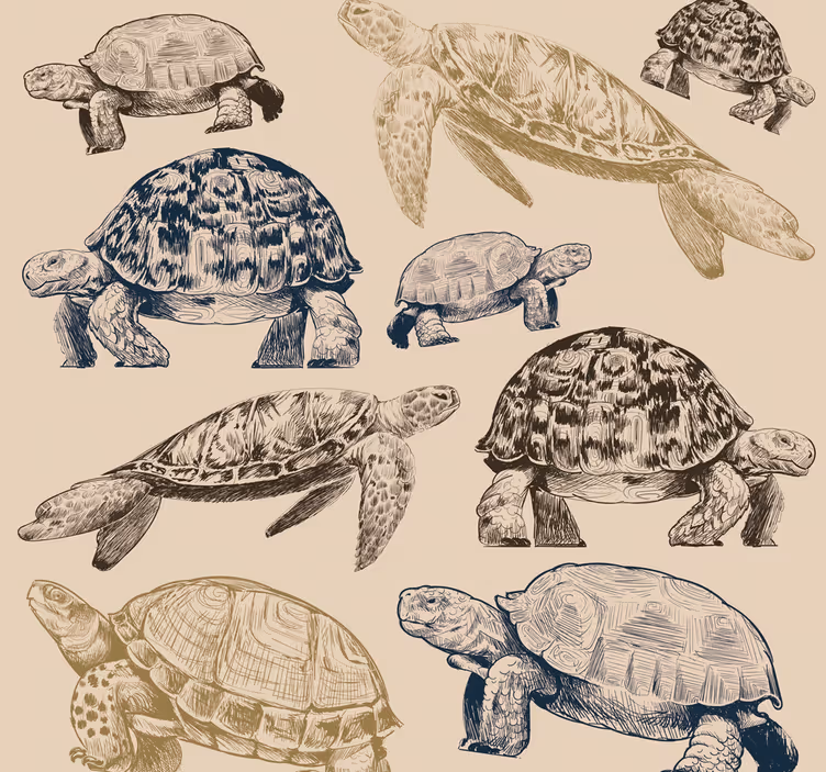 Kaplumbağa koleksiyonu hayvan duvar kağıdı - TenStickers