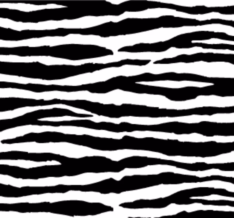 Hayvan duvar kağıdı zebra Çizgileri - TenStickers