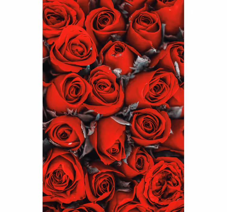 Çiçek desenli duvar kağıdı kırmızı güller romantik - TenStickers