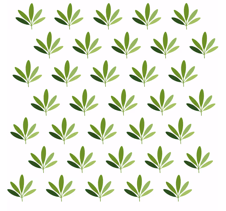 Sweet palm yaprak duvar kağıdı - TenStickers