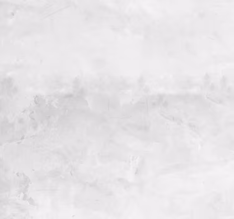 Modern estetik takli̇t beton duvar kağidi - TenStickers