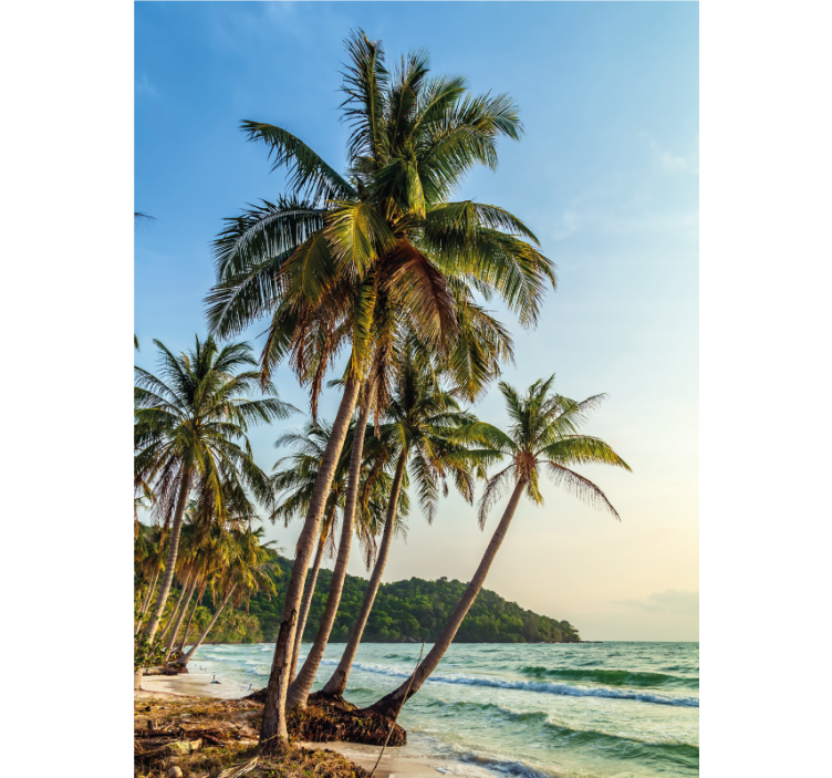 Sahildeki palmiyeler banyo stor perde - TenStickers