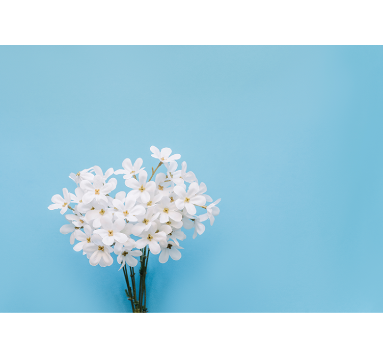 Mavi stor perde jazmin mavi arka plan - TenStickers