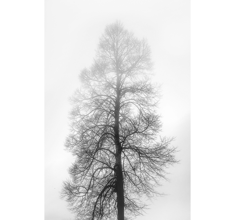 Gri tonlu ağaç penceresi Stor perde - TenStickers