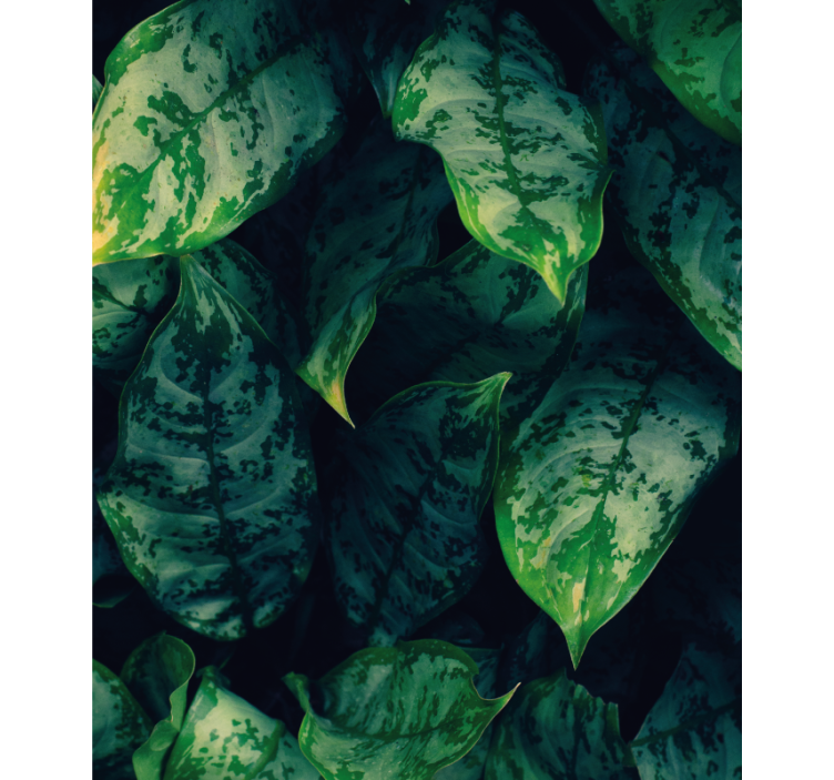 Maranta yapraklar çiçek Stor perde - TenStickers