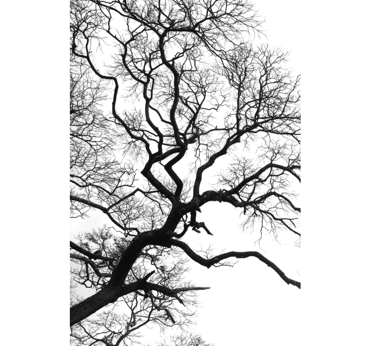 Tek ağaç dalı kopması Stor perde boyama - TenStickers