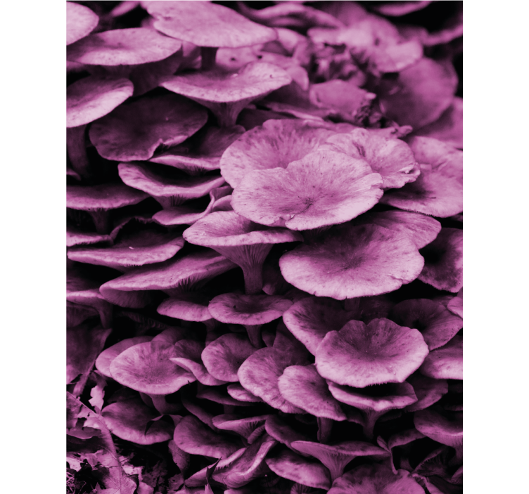 Canlı çiçek katmanları çiçekler ve bitkiler stor perde - TenStickers