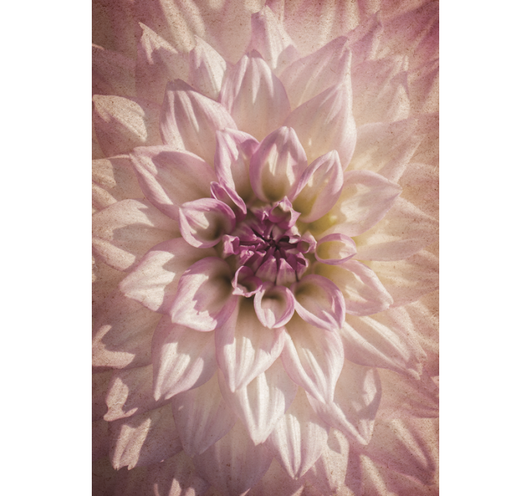 Narin çiçek çiçekler ve bitkiler stor perde - TenStickers