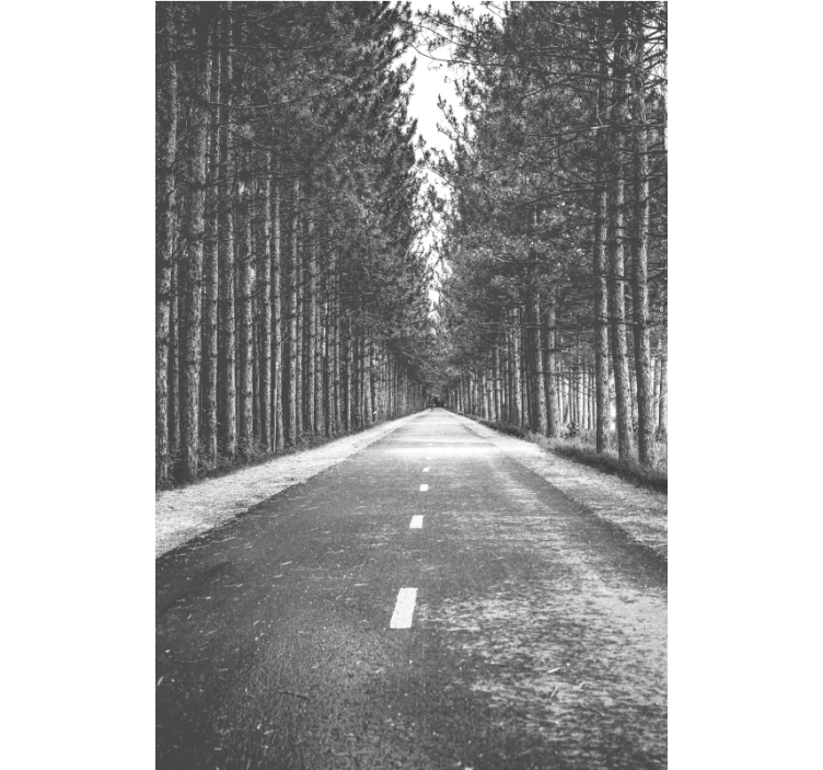 Sakin orman yolu stor perde - TenStickers