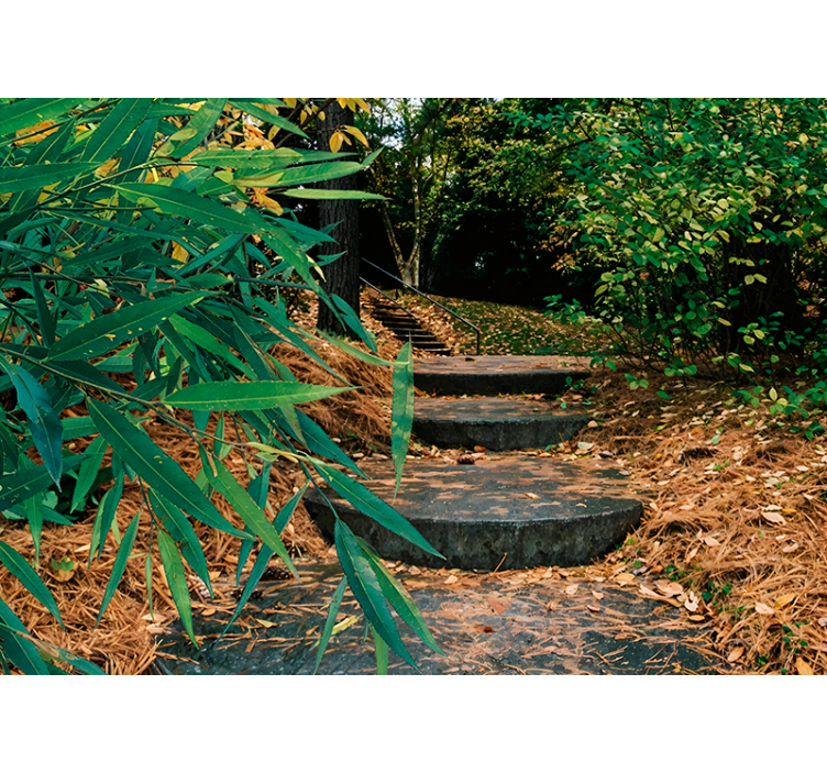 3d orman ve küçük yol orijinal stor perde - TenStickers