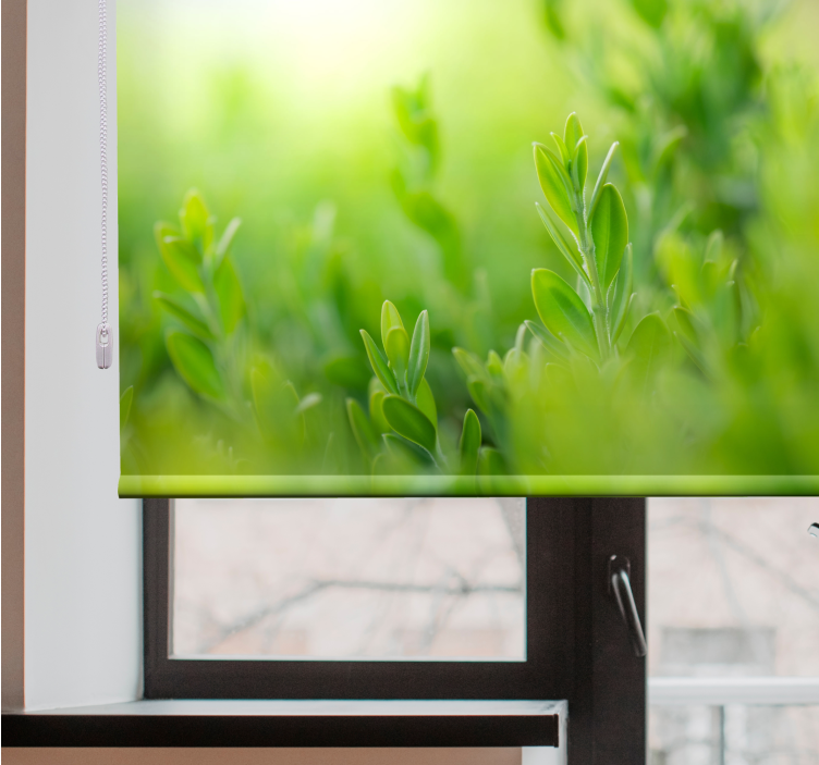 Açık yeşil bahar oturma odası Stor perde bırakır - TenStickers