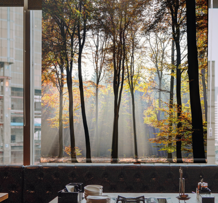 Güneşli orman manzarası ağaçlar stor perde - TenStickers