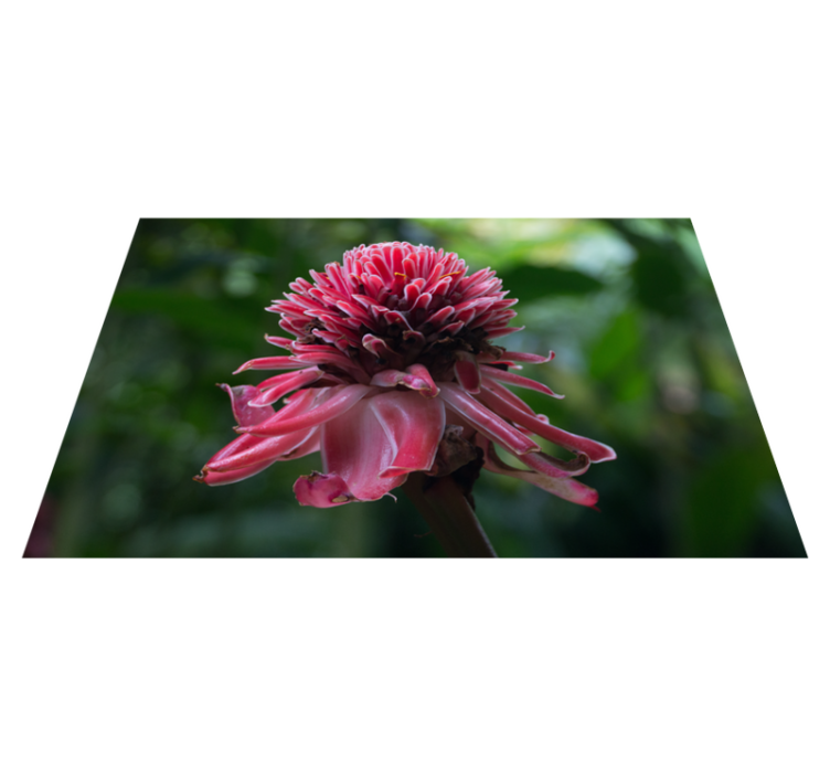 Orijinal amerikan servis tropikal Çiçek düzeni - TenStickers