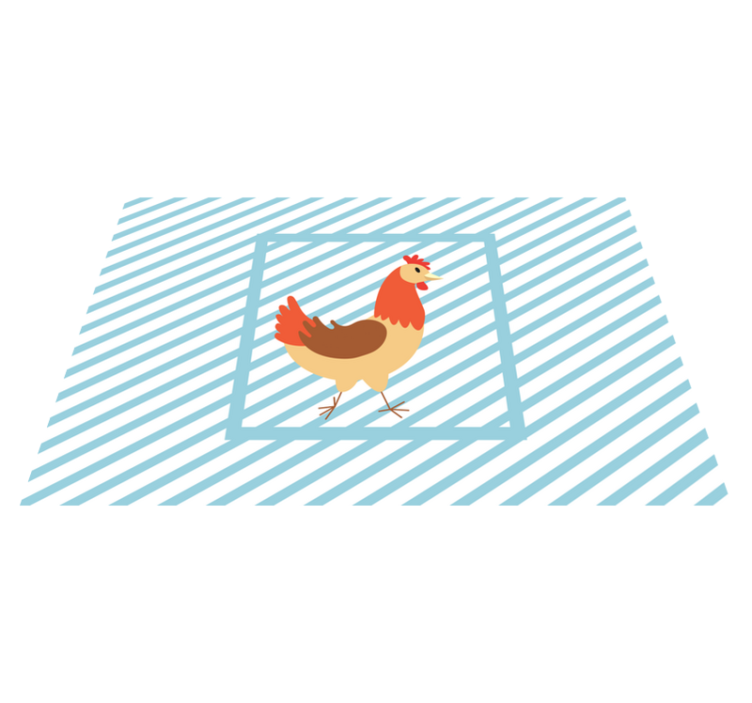 Horoz tavuk çizim illüstrasyon placemats - TenStickers