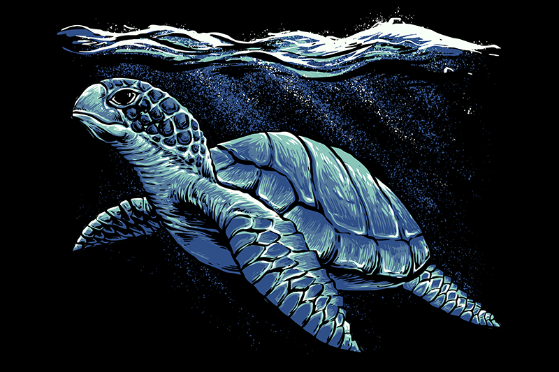 Kaplumbağa el çizimi kaplumbağa placemats - TenStickers