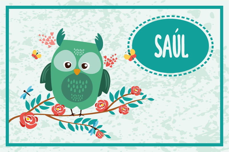 Baykuş özelleştirilebilir çocuk placemats - TenStickers