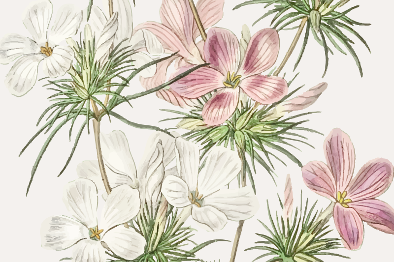 Orijinal amerikan servis - Çiçekli botanik düzeni - TenStickers