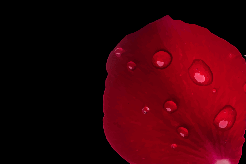 Doku efekti amerikan servis kırmızı yaprak yüzey - TenStickers