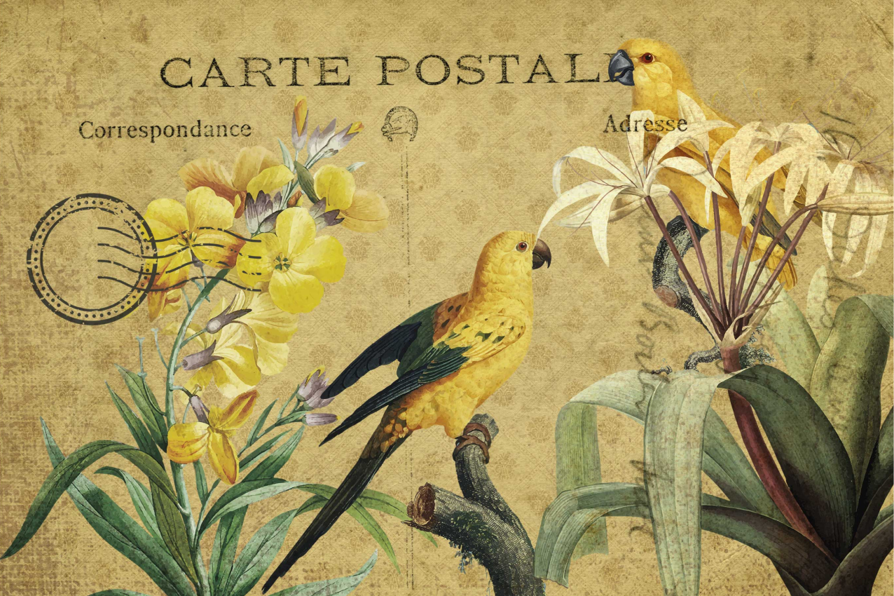 Orijinal amerikan servis vintage Çiçekli kartpostal - TenStickers