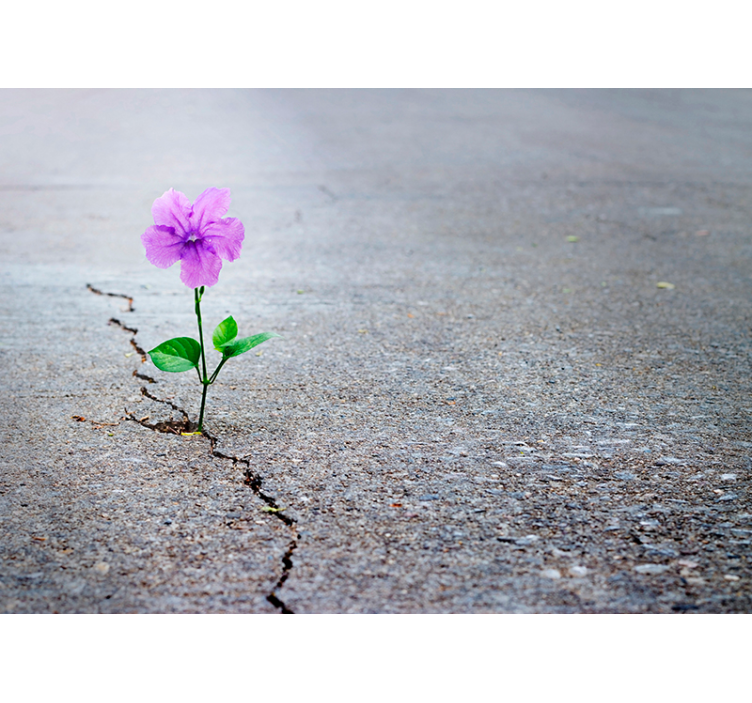 3d çiçek duvar kağıdı - TenStickers