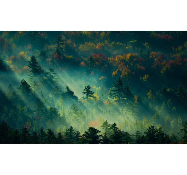 Orman duvar resim - hüzünlü orman - TenStickers