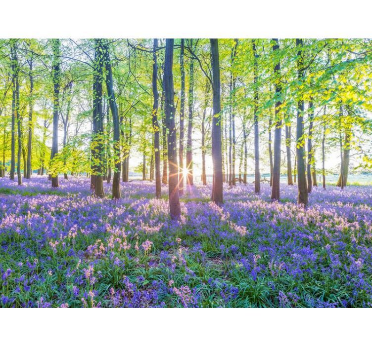 Orman duvar resim - doğa esinli modernizm - TenStickers