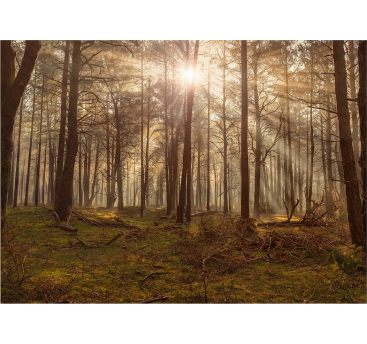 Orman duvar resim - altın yaban hayatı salonu - TenStickers