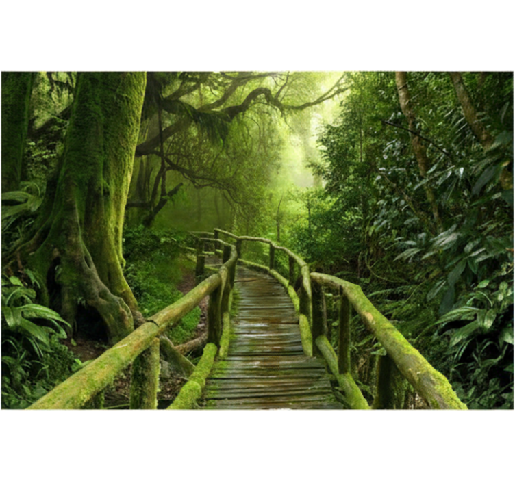 Orman duvar resmi lush mossy boardwalk - TenStickers