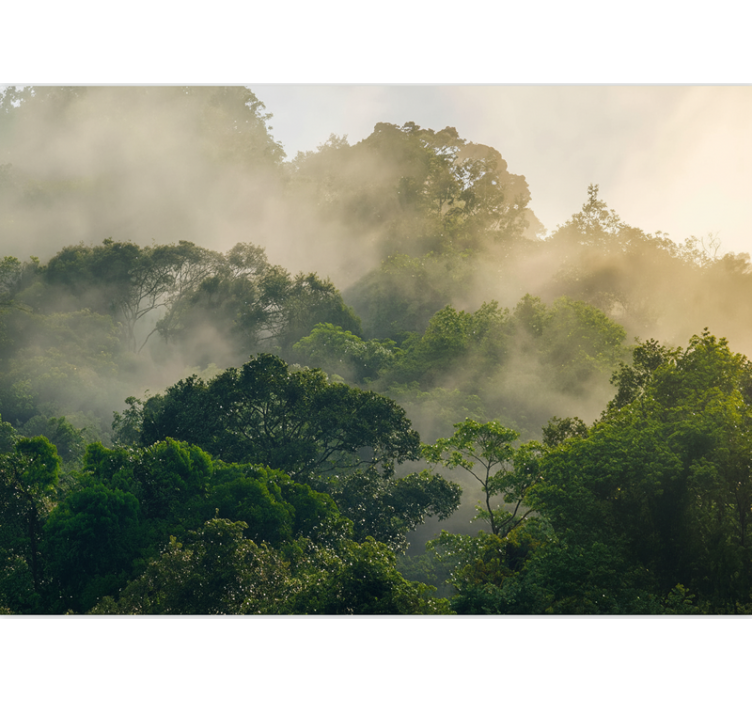 Orman duvar resim lush jungle canopy - TenStickers