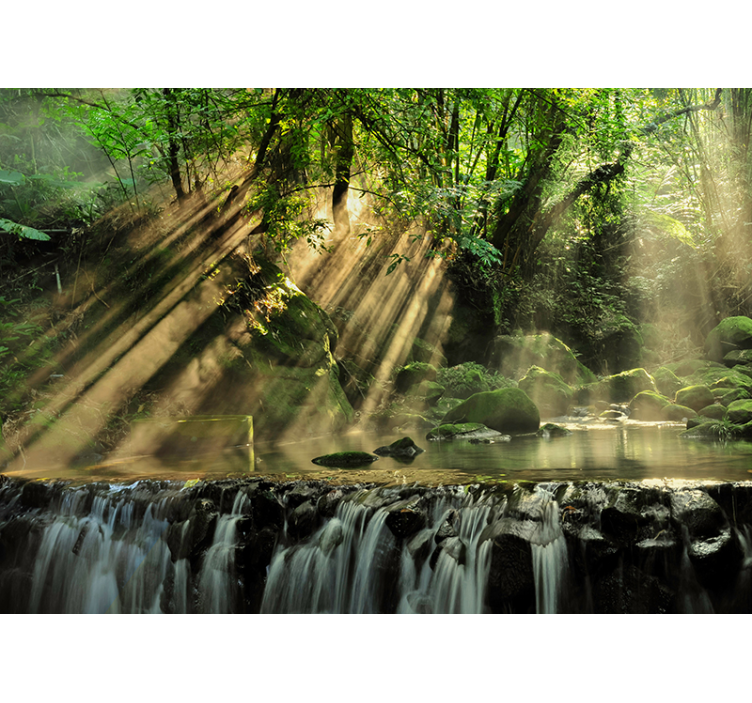 Gizli orman manzara duvar resmi - TenStickers